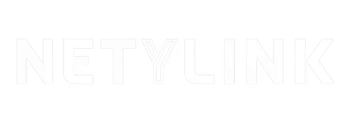 logo_netlink